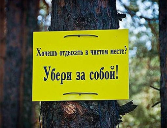 Мусор после отдыха