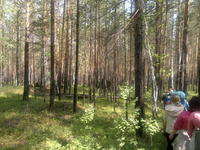 20110604512.jpg