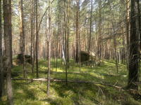 20110604513.jpg