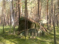 20110604514.jpg