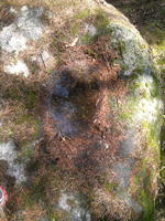 20110604531.jpg