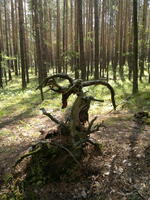 20110604535.jpg