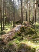 20110604536.jpg