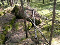 20110604544.jpg