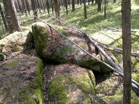 20110604546.jpg