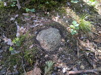 20110604554.jpg