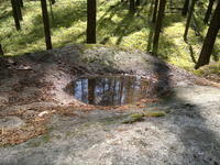 20110604563.jpg