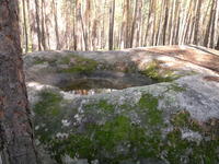 20110604581.jpg