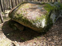20110604584.jpg