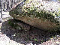 20110604585.jpg