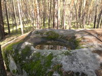 20110604591.jpg