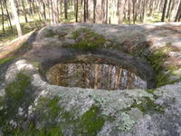 20110604592.jpg