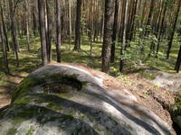 20110604618.jpg