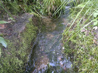 201107091048-1.jpg