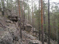 201107091062-1.jpg