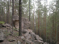 201107091070-1.jpg