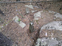 201107091109-1.jpg