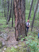 201107091204-1.jpg