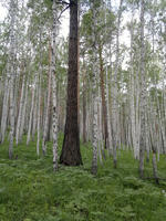 201107091213-1.jpg