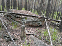 201107091256-1.jpg