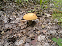 201107091269-1.jpg