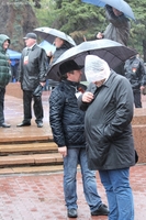Д. Моргулес