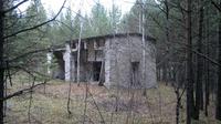 Заброшенный дом в лесу золотой долины